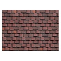 Многослойная черепица ТЕХНОНИКОЛЬ SHINGLAS , Континент,Америка