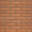 Облицовочный кирпич КРАСНЫЙ (Кора дуба) 1NF Одинарный (250х120х65) рис.0