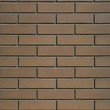Облицовочный кирпич ШОКОЛАД (Гладкий) 1NF Одинарный (250х120х65) рис.1