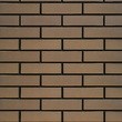 Облицовочный кирпич ШОКОЛАД (Гладкий) 1NF Одинарный (250х120х65) рис.2