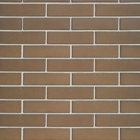 Облицовочный кирпич ШОКОЛАД (Гладкий) 1NF Одинарный (250х120х65)